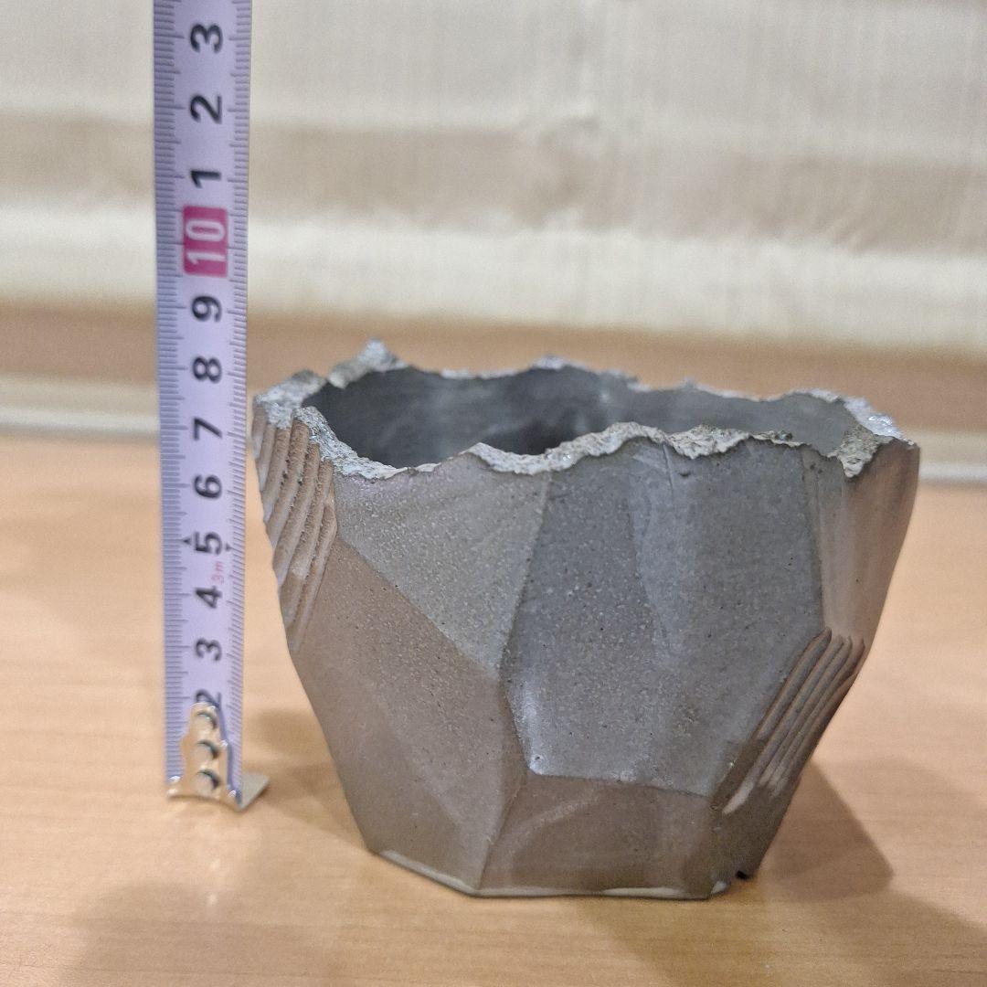 N/OH×BOTANIZE⭐澪標⭐ノウ×ボタナイズ鉢グラキリスパキプスオベサ