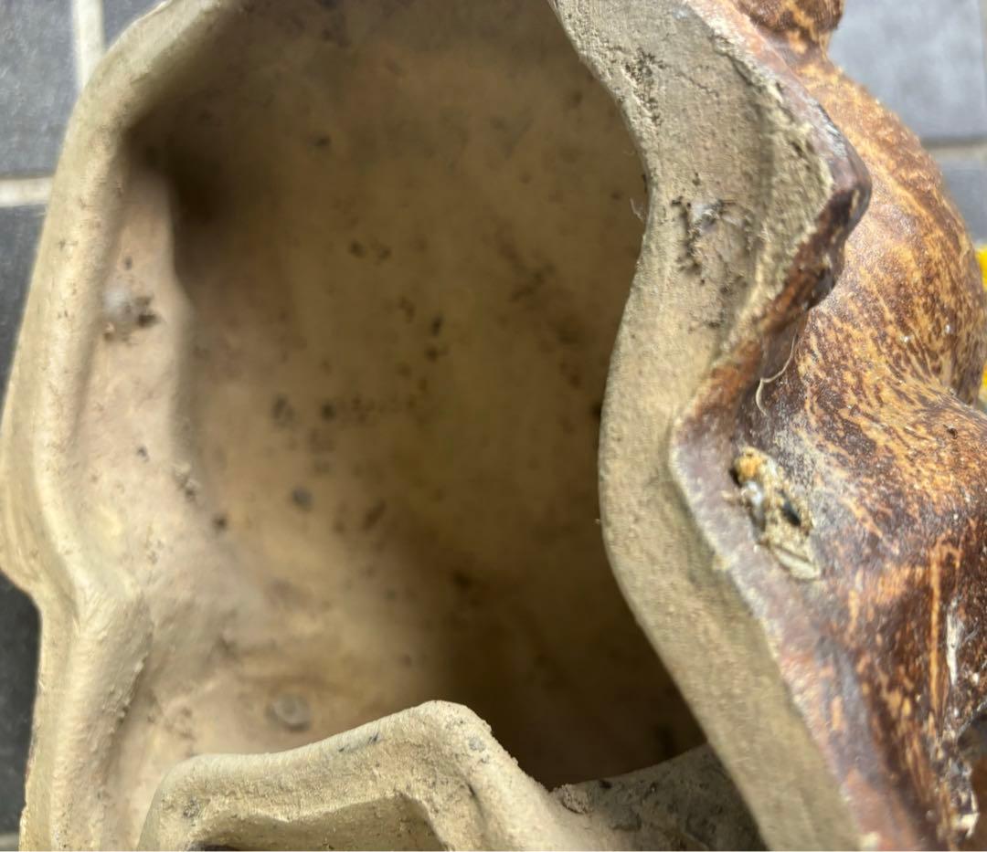 ビンテージ！骨董品　信楽焼　親子蛙　縁起物　開運