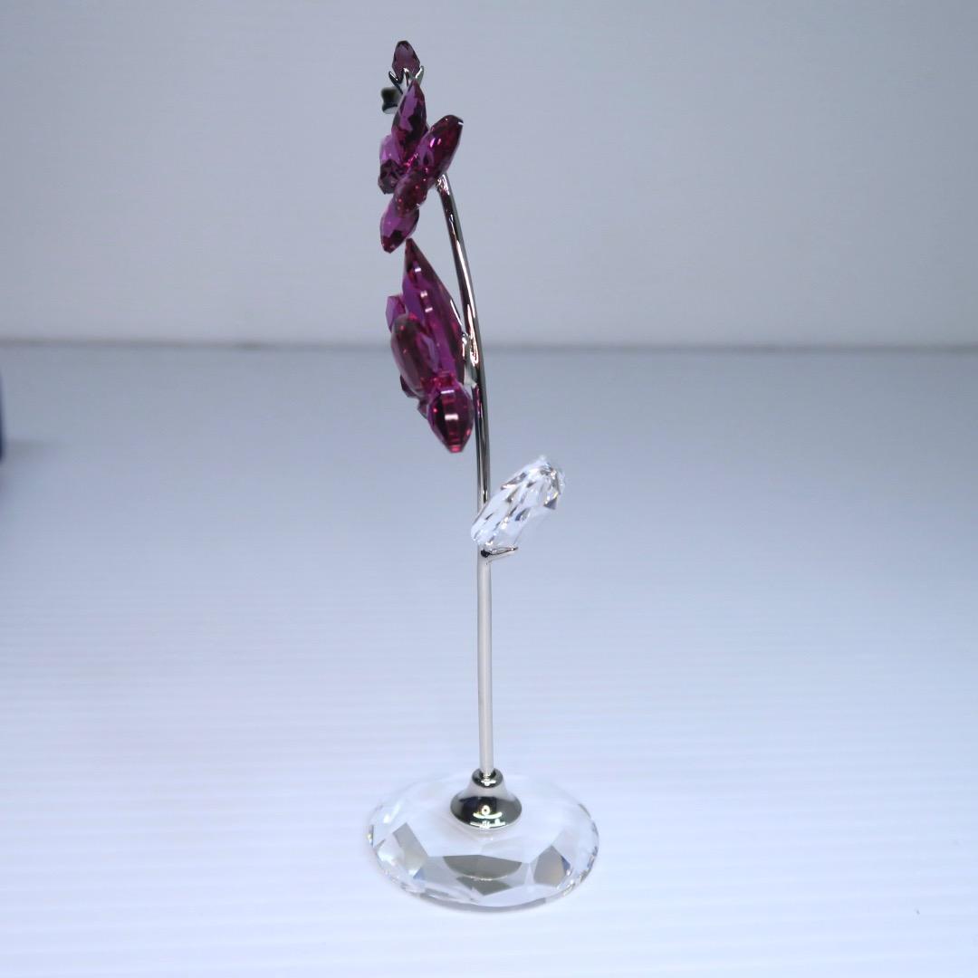 スワロフスキー Swarovski Flower Dreams オーキッド