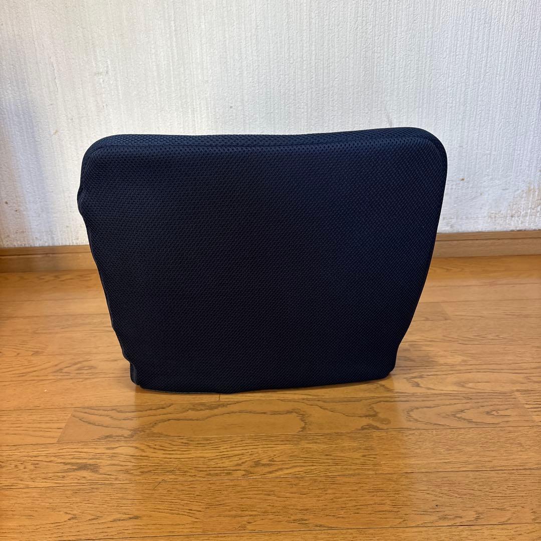 しょう　正しい姿勢の習慣用クッション　ピント(pinto)