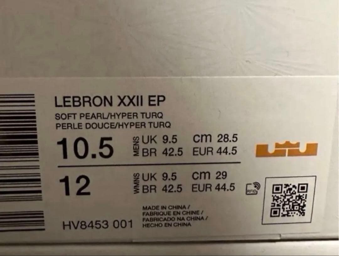 レブロン22 NIKE ep