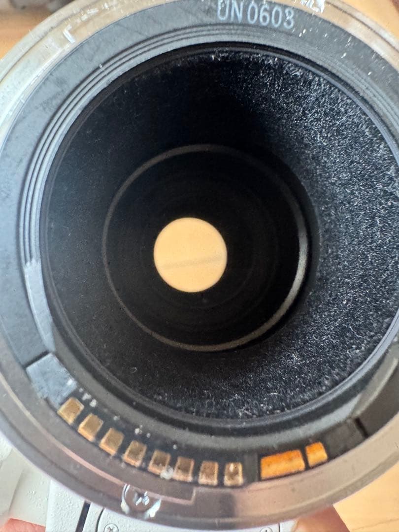 EF100-400mm F4.5-5.6L IS USM 望遠レンズ