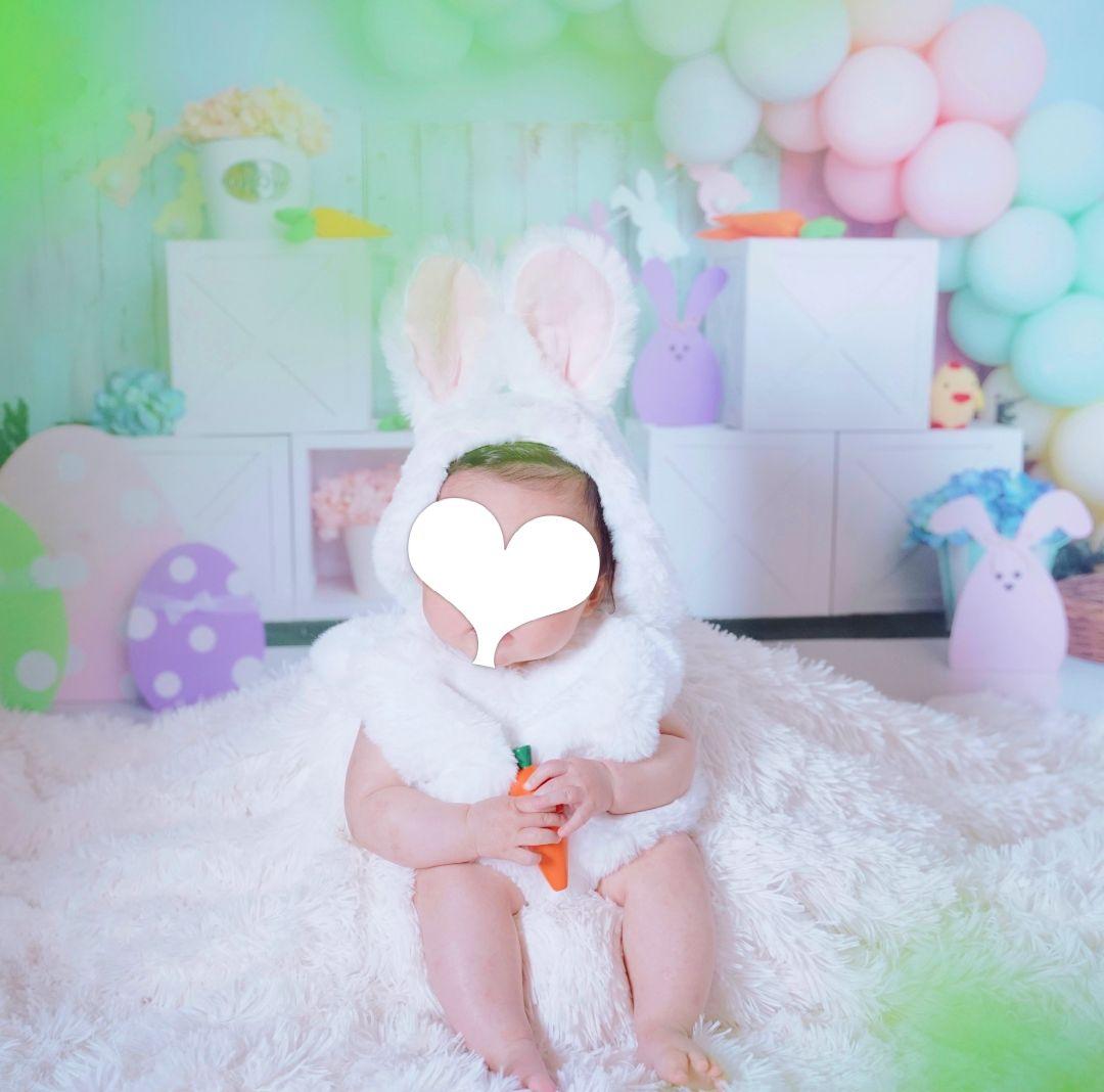 背景布×10枚+2　ペット撮影用ブース　トリミングチョーカー販売中　ペットサロン