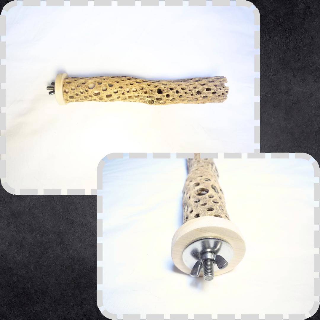 鳥用品　止まり木　カクタス　スケルトン　パーチ　特大No.217