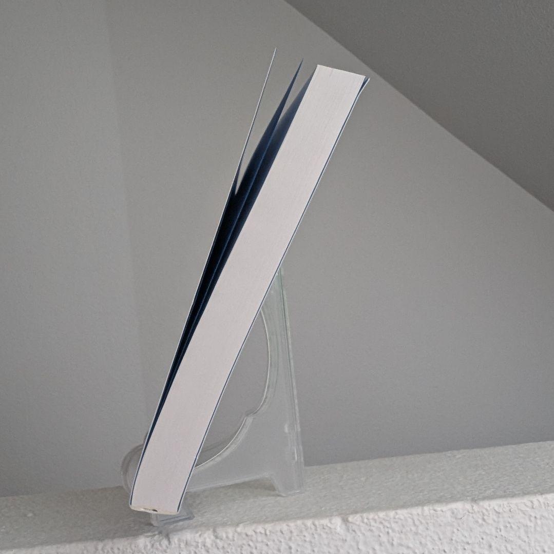 ESDM 【自閉スペクトラム症超早期介入法／服巻智子 】