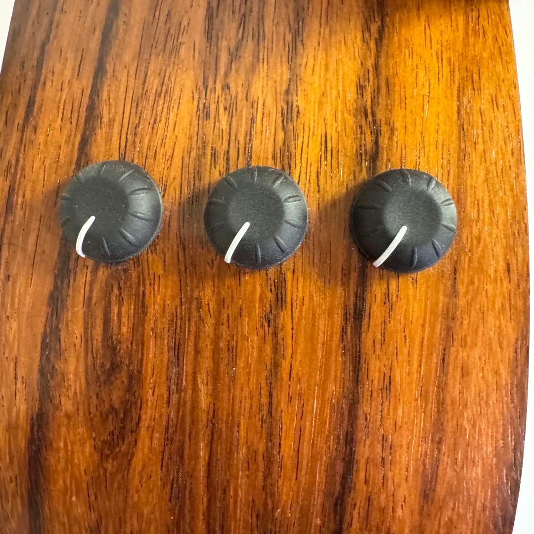 Taylor テイラー 214ce Rosewood エレアコ