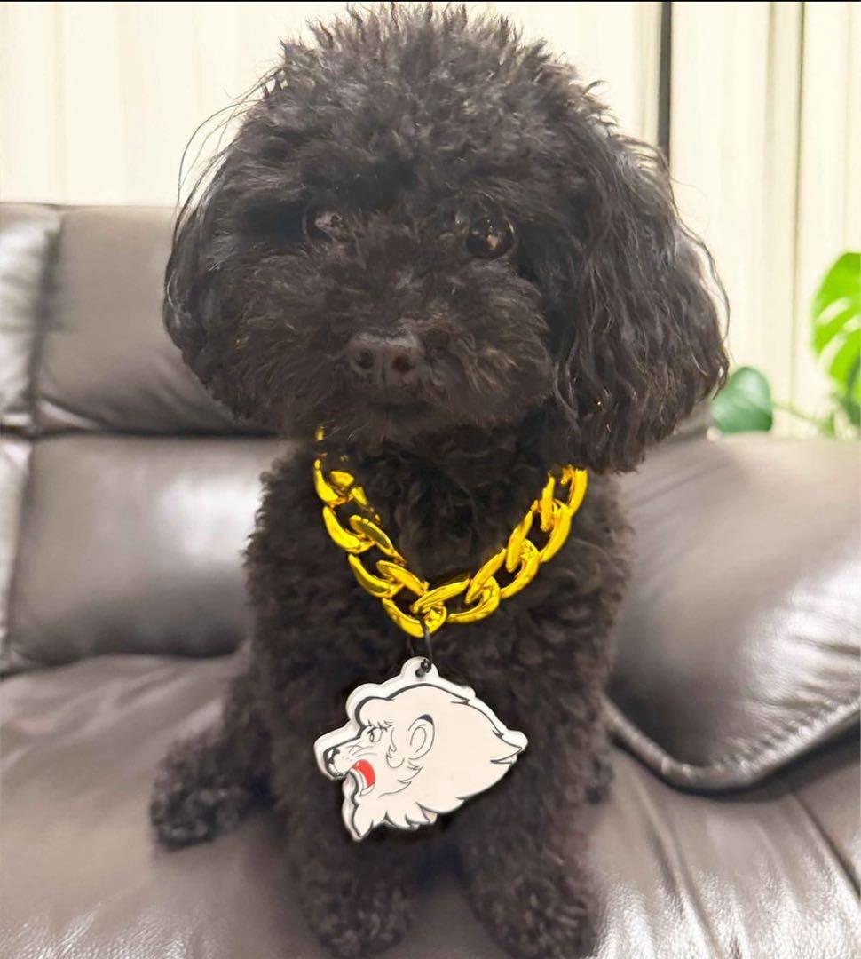 ミニビッグチェーンネックレス 埼玉西武ライオンズ ライ