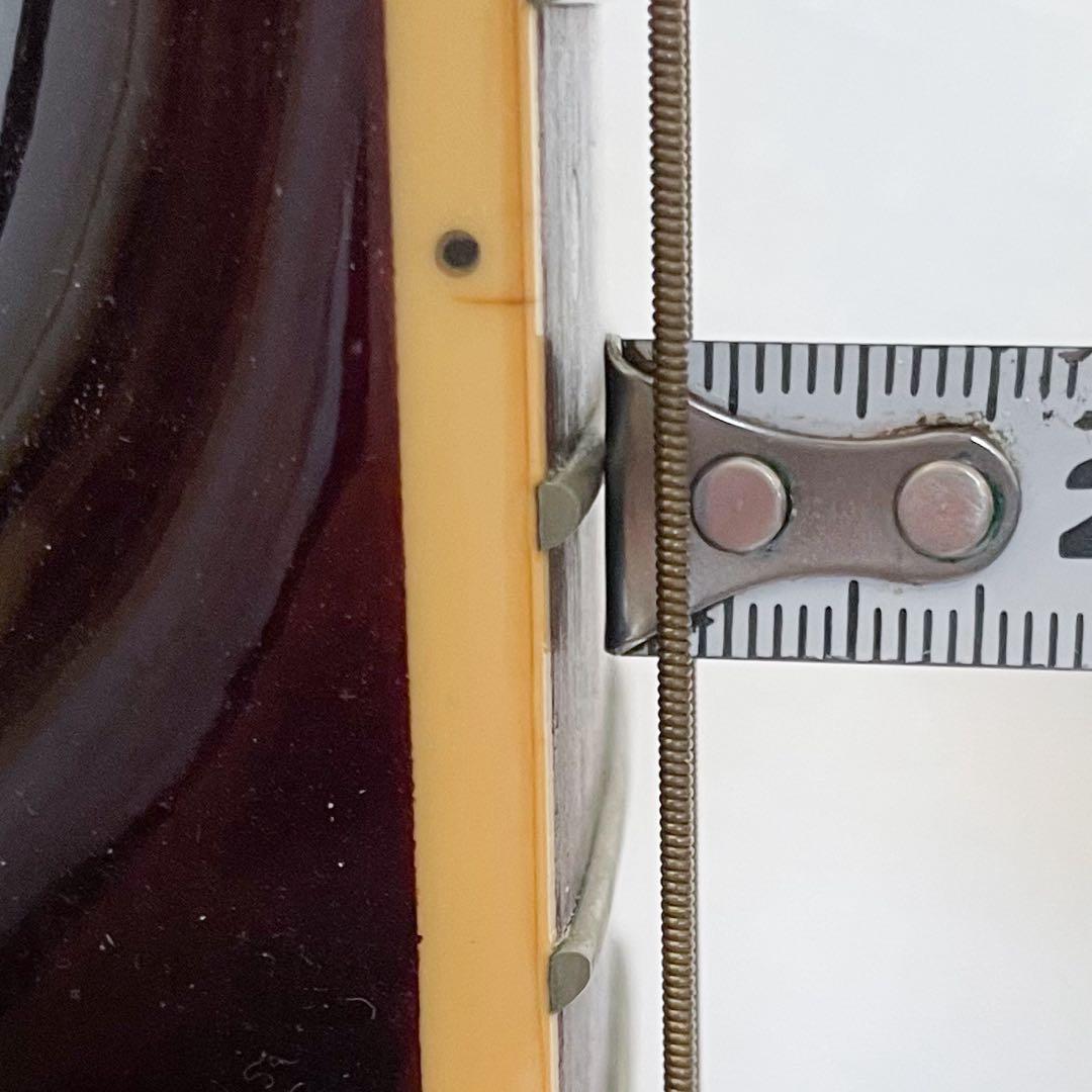 Pro Martin　custom　　EA500W　WRS エレアコ　ギター