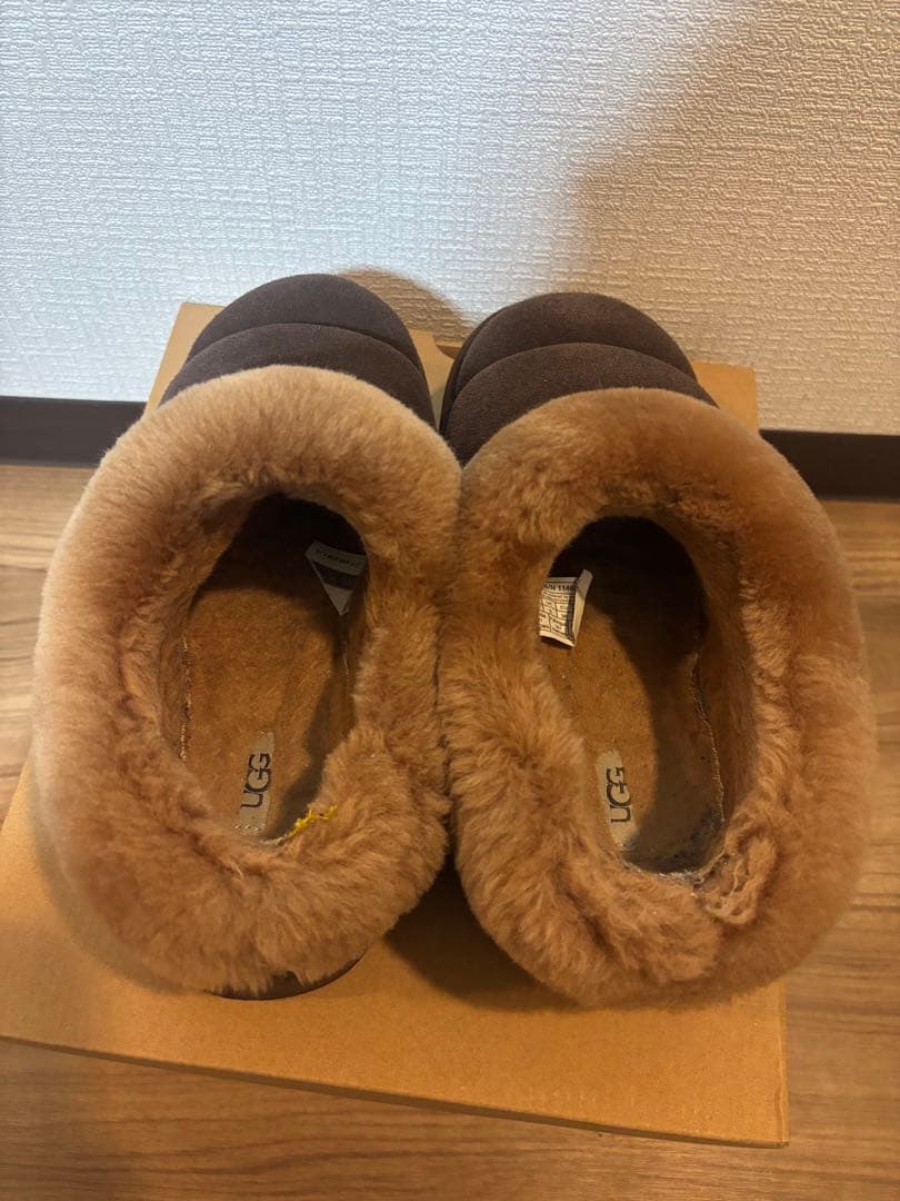 ugg ダズリータ　ブラウン