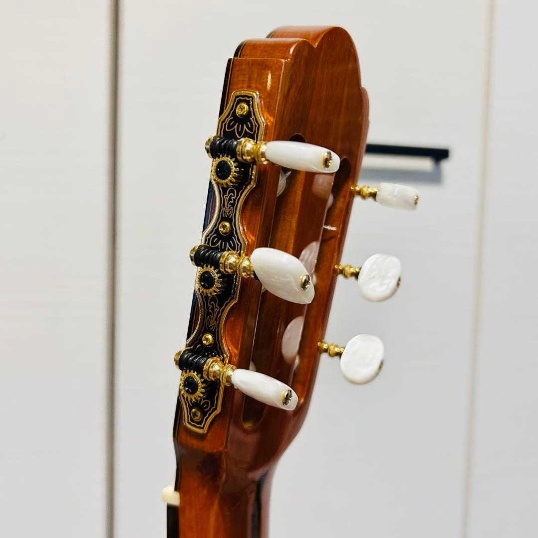 【希少】アコースティック ギター アリア A-100F ハードケース付