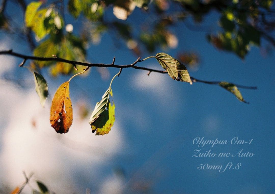 ★完動品＊美品★OM-1/zuiko f1.8★初期保証＊作例多数！