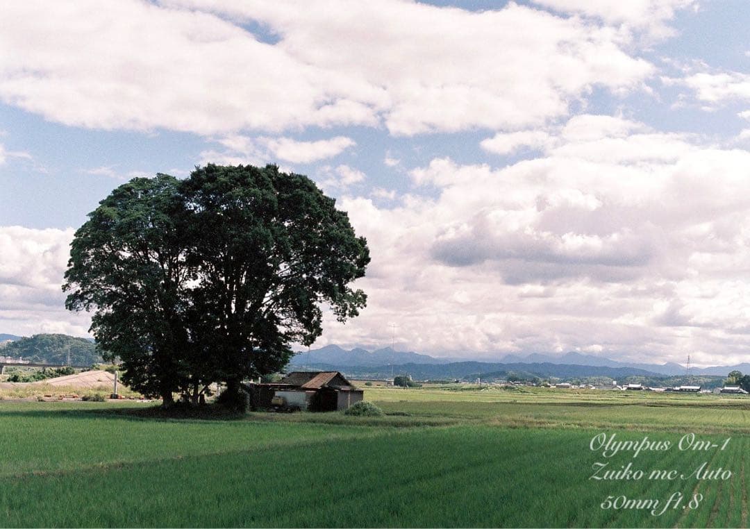 ★完動品＊美品★OM-1/zuiko f1.8★初期保証＊作例多数！