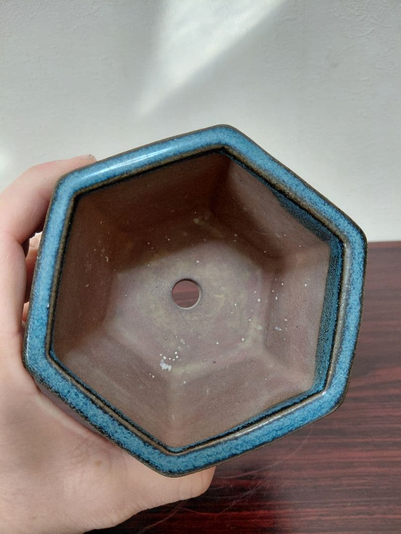 海鼠釉 鉢 盆栽鉢 詳細不明