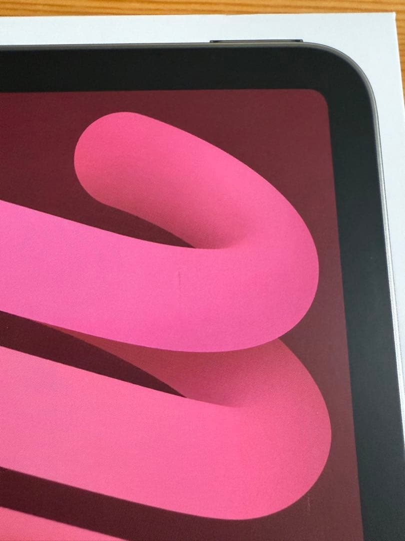 iPad mini Wi-Fi＋Cellularモデル256GB スターライト