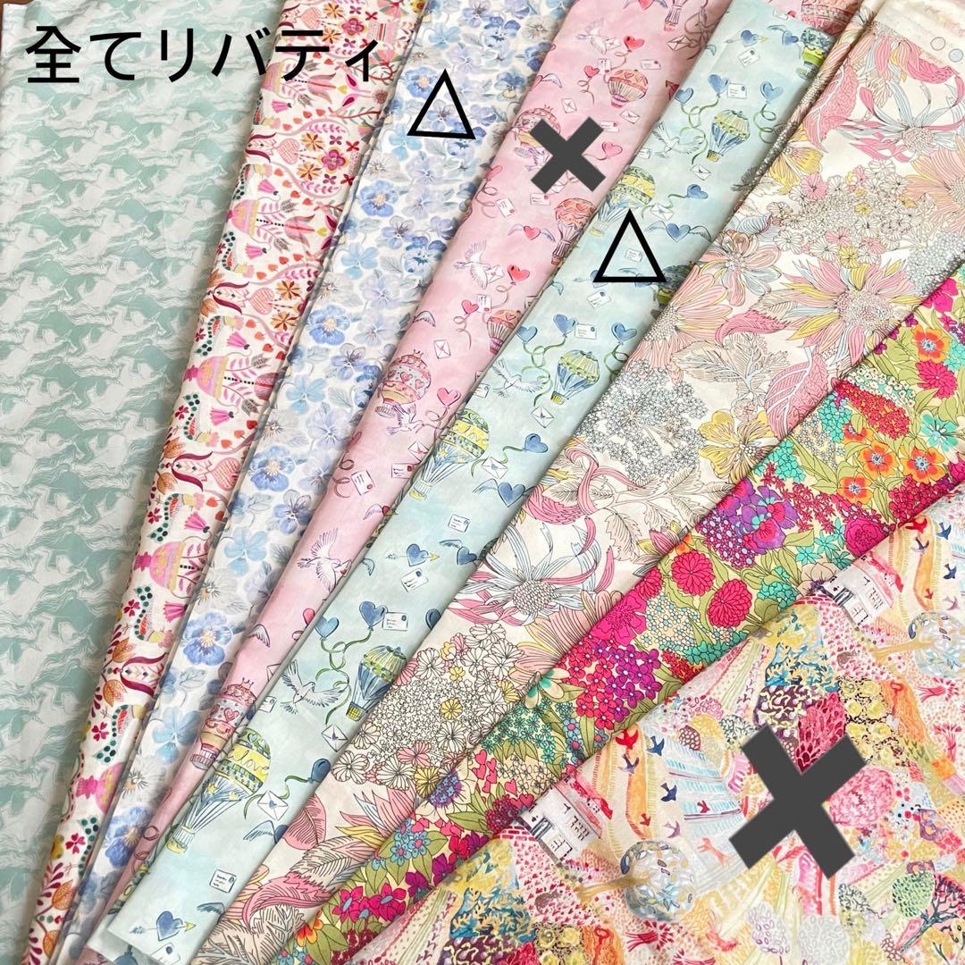 Mayページエールバッグサイズミニボリードサイズバッグインバッグ