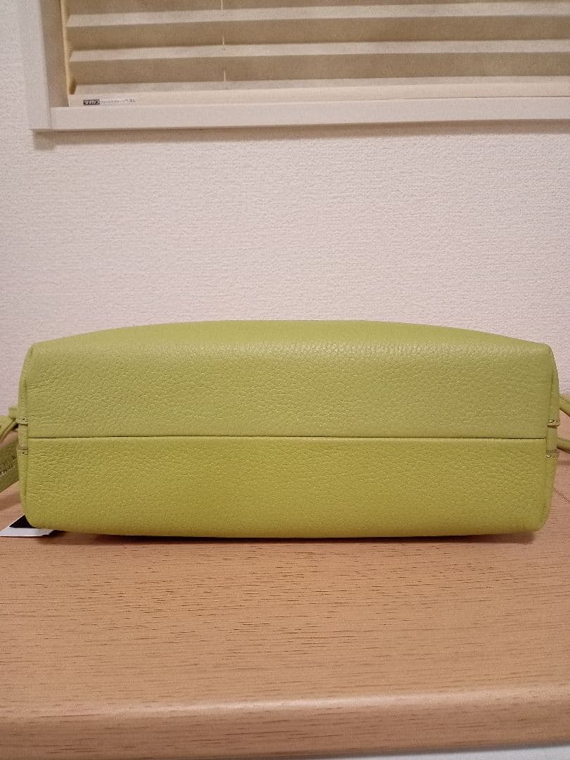 新品 未使用☆GIANNI CHIARINI ジャンニキアリーニ アリファМ