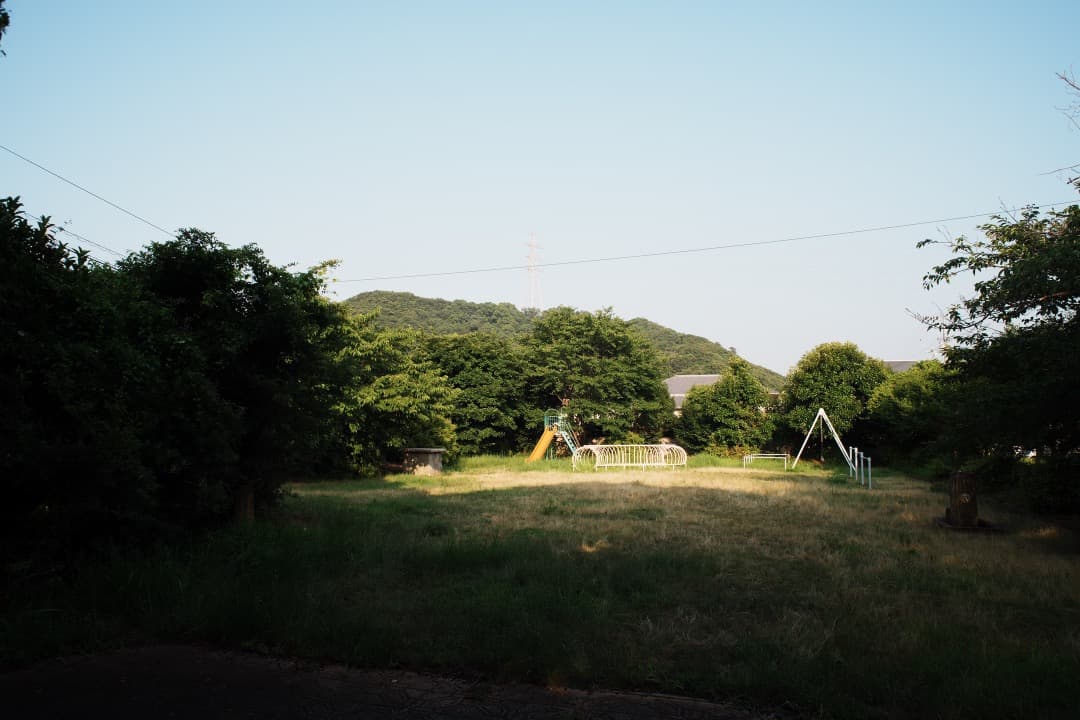 【極美品】動作◎ Canon FD 24mm F2.8 S.S.C 476