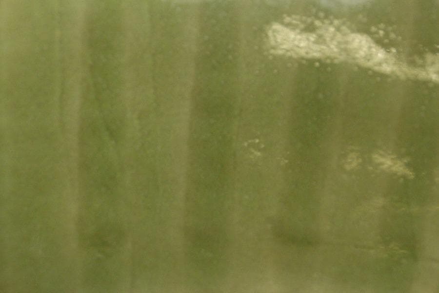 中国美術 青磁 刻草花紋 皿 φ42.5cm(ZE728)