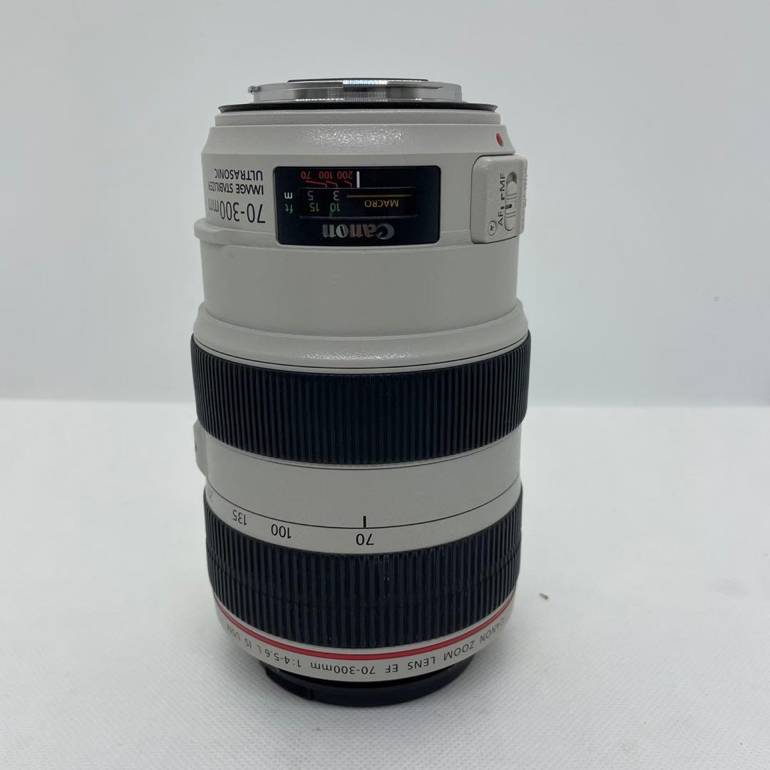 c*o様 Canon EF 70-300mm f/4-5.6 L IS USM
