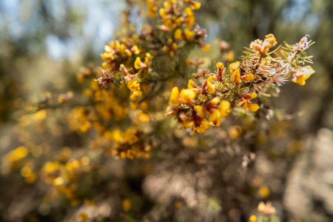 VILTROX AF 13mm F1.4 XF レンズ