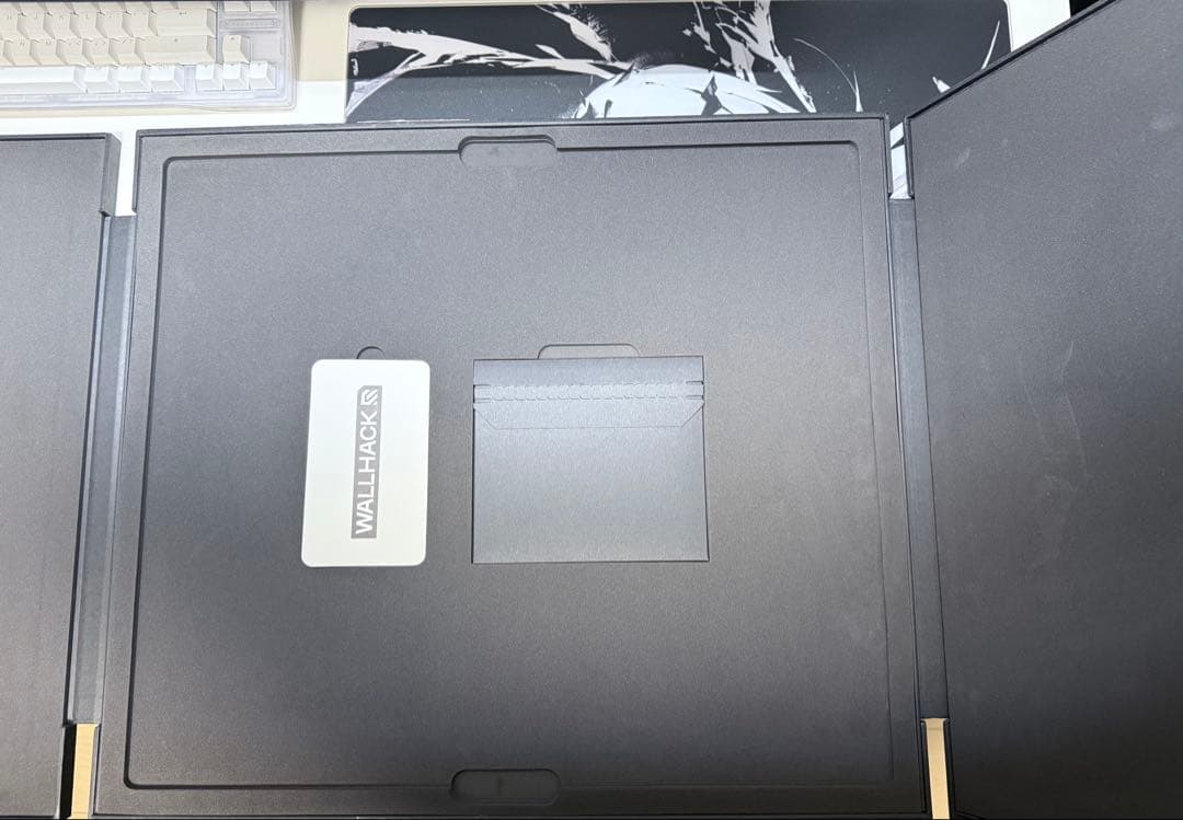 Wallhack SP-004 Frenzy Sora 値下げ不可