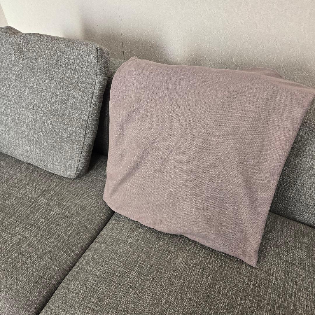 早い者勝ち　NOYES Decibel ソファ　2人がけ ひじ掛けつき