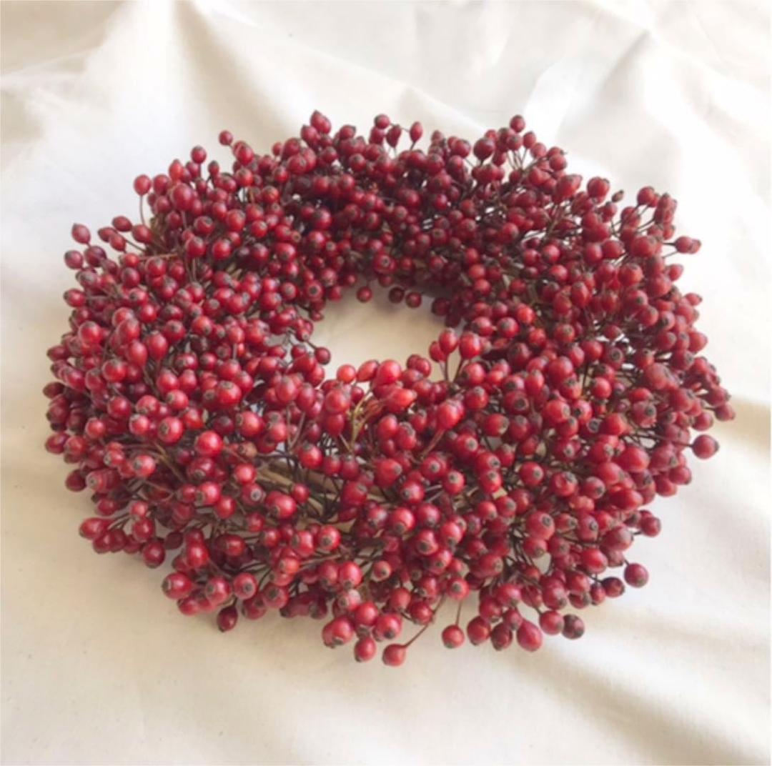 野ばらの実　リース　大きめ