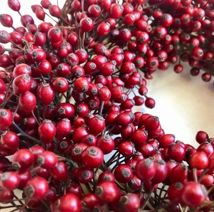 野ばらの実　リース　大きめ