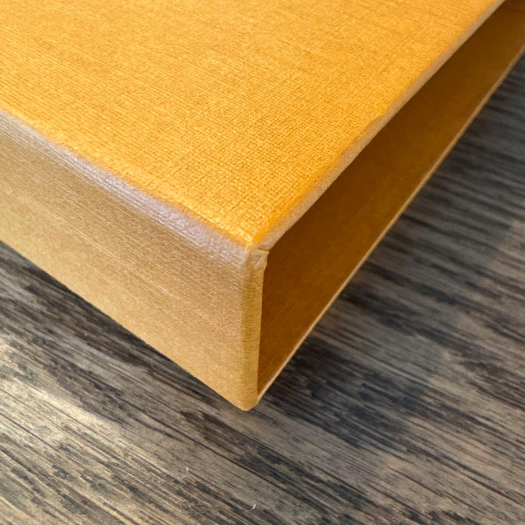 極美品 鑑定OK! LOUIS VUITTON 名刺入れ エピ 未使用 正規品