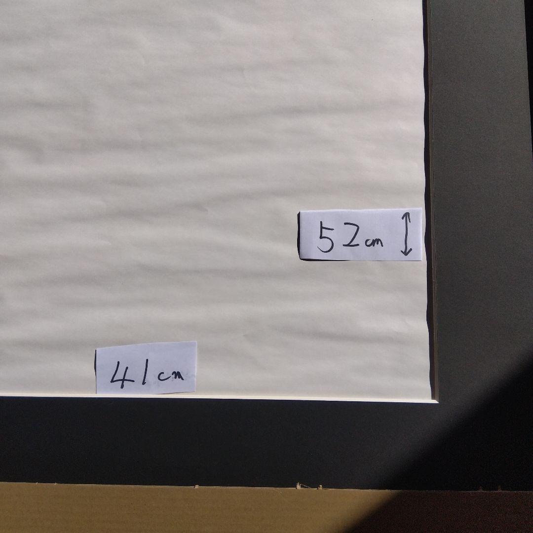 FUJIFILM写真展示用フレーム 全紙２ 　全紙3枚組２　 半切２　4切