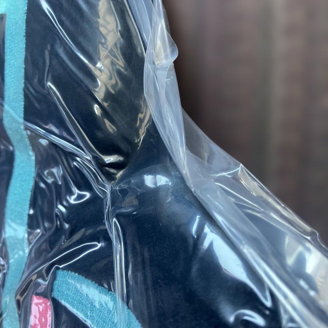 tiktok■ティックトック■音符クッション■非売品■限定インフルエンサー未開封