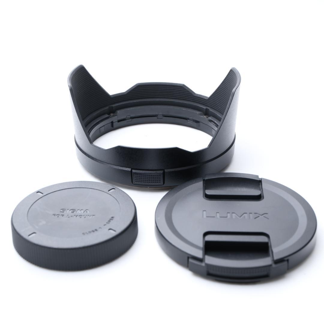 綺麗 Panasonic LUMIX S 24-105mm F4