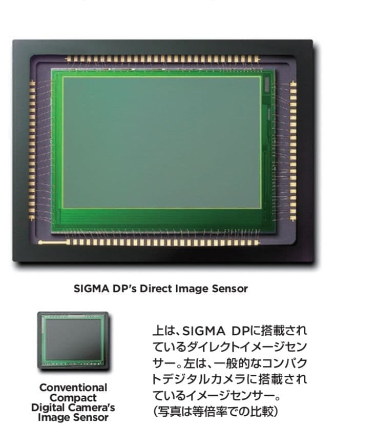 【希少美品】SIGMA DP2s（APS-Cセンサーの最強高級コンデジ）