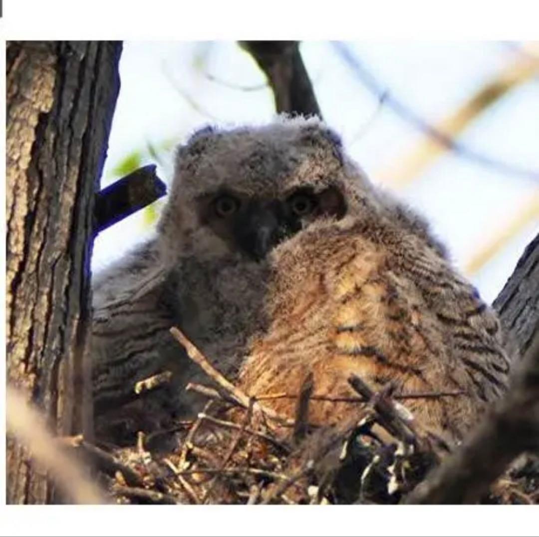 Canon EOS Mシリーズをお持ちの方におすすめ！アダプター付き