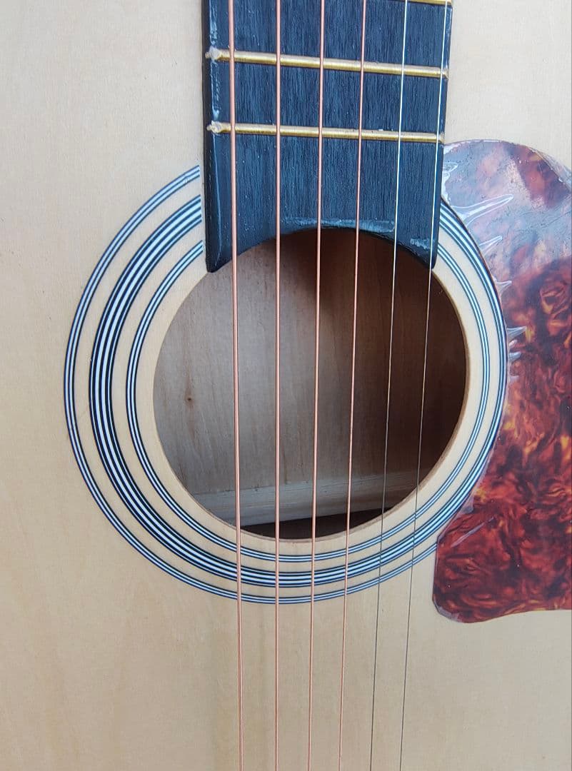 超美品 ほぼ未使用 初心者向け PU付きエレアコ オマケ多数 展示品