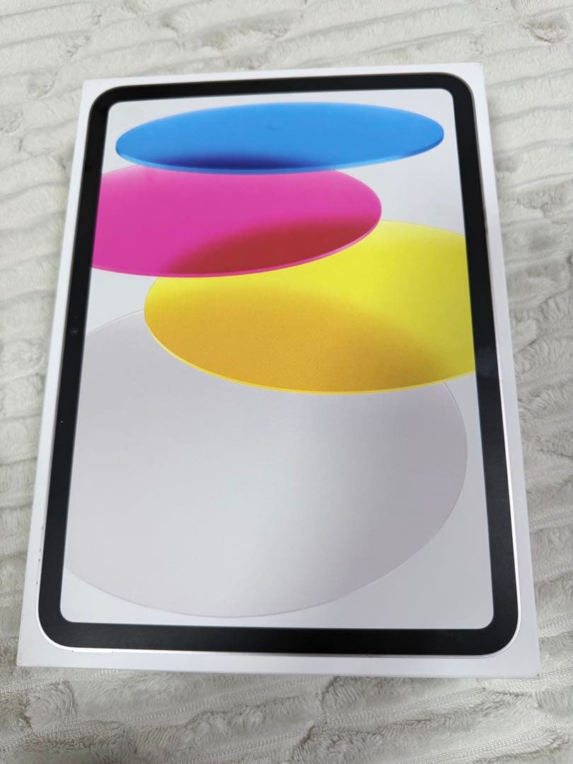 ジャンク品 ホワイト iPad 本体 第11世代 11インチ Wifiモデル