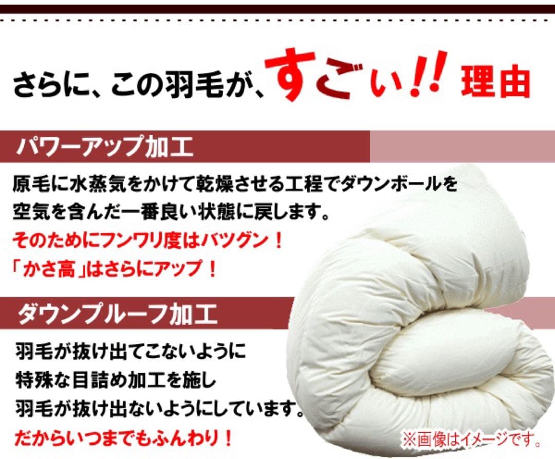 羽毛布団 セミダブル ハンガリー産ホワイトマザーダック 超長綿 二層 生成り
