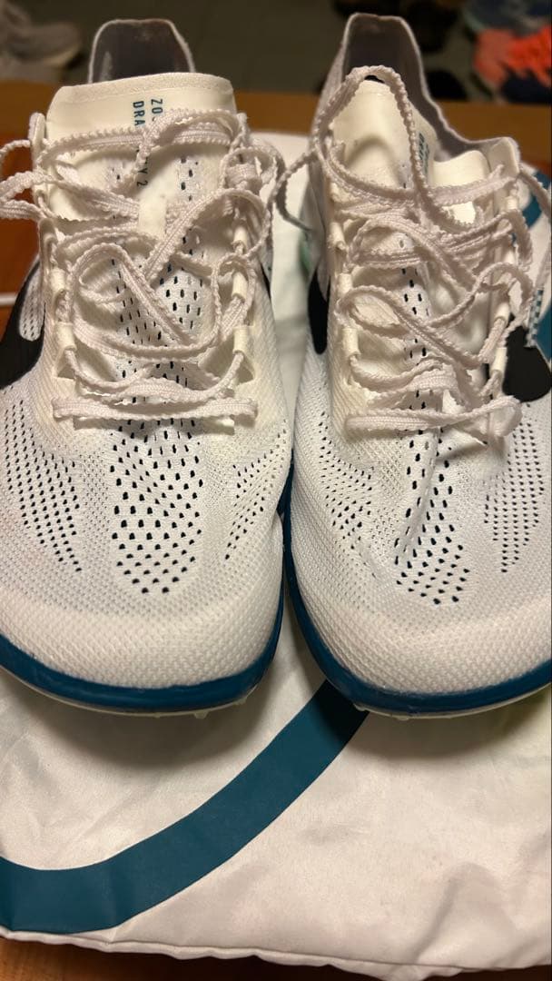 ナイキ ドラゴンフライ 25.5cm