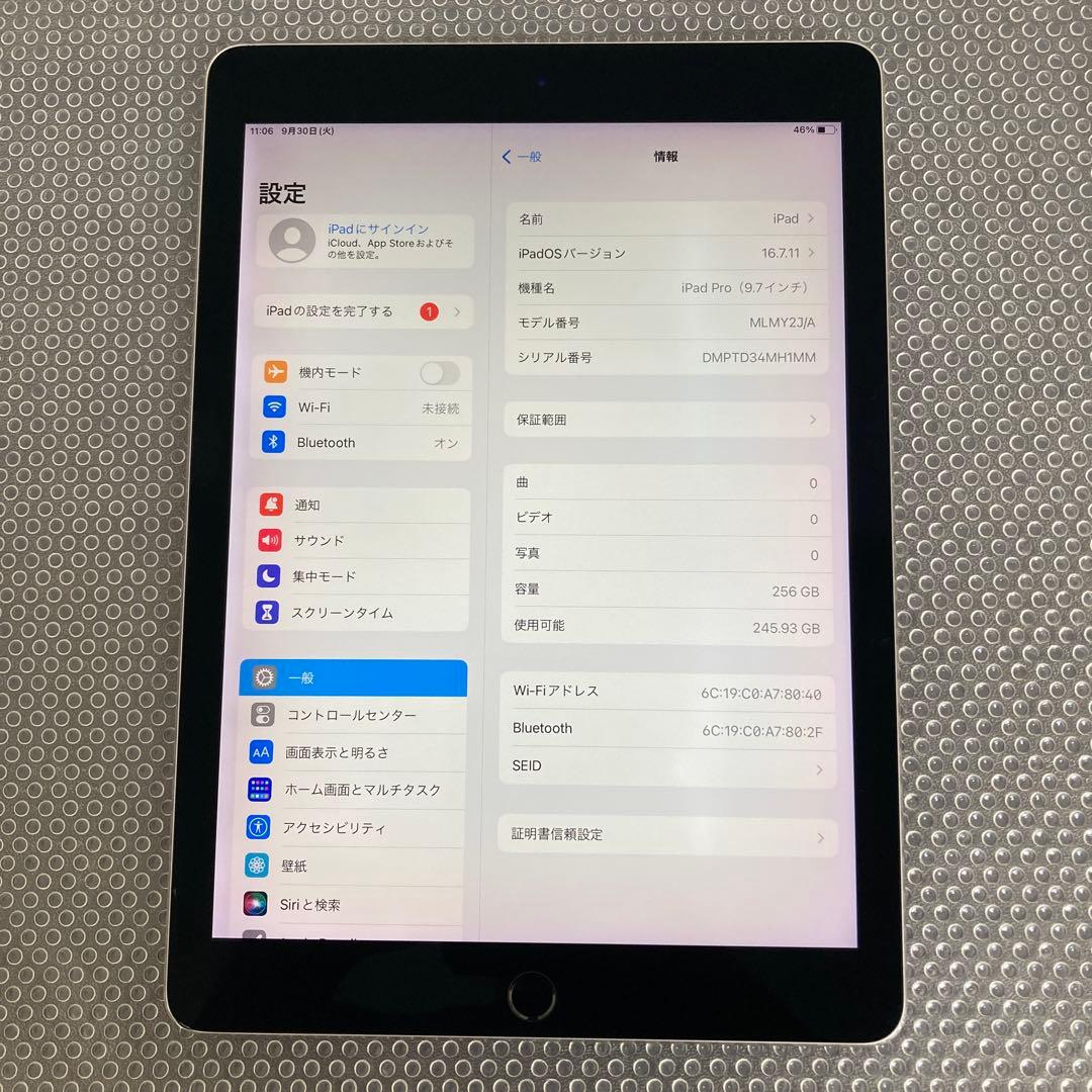 2761【早い者勝ち】iPad Pro 256GB 9.7インチ WIFIモデル