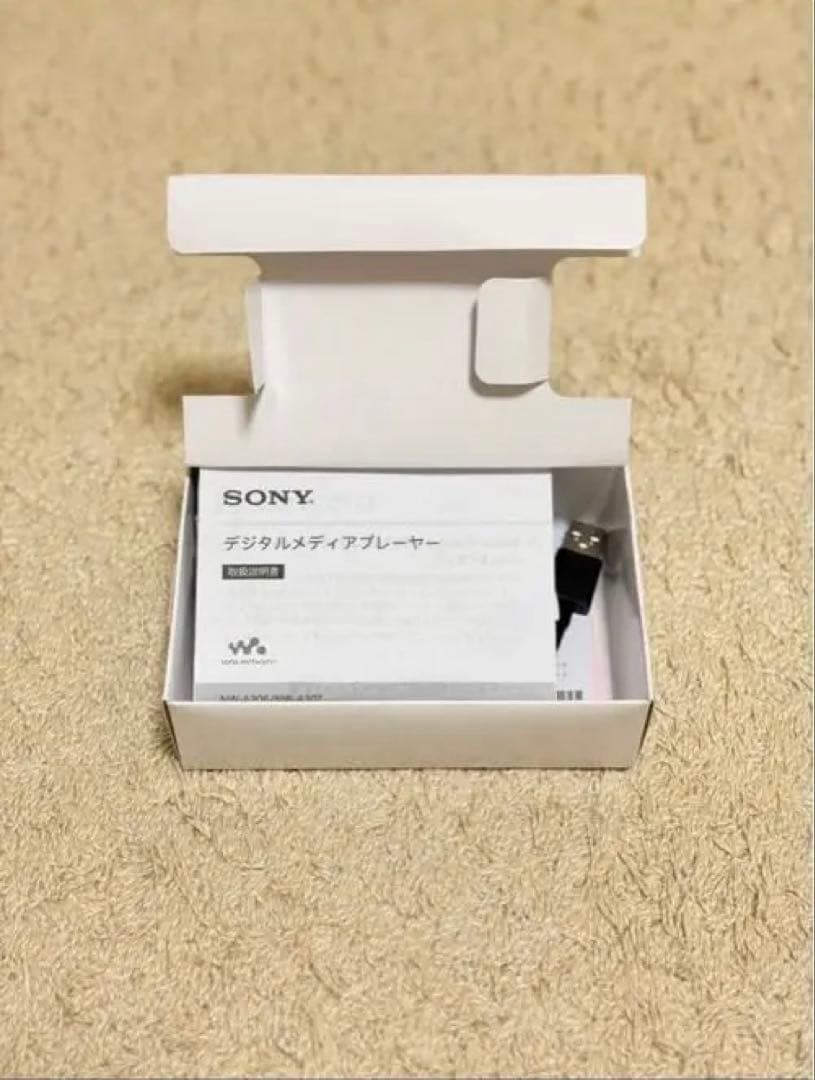 SONY WALKMAN NW-A306 32GB ケース+128GB SD付き
