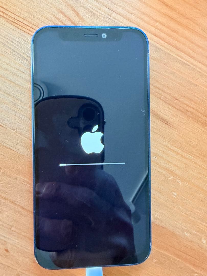 Apple iPhone 12mini 256GB本体 ブルー　ジャンク