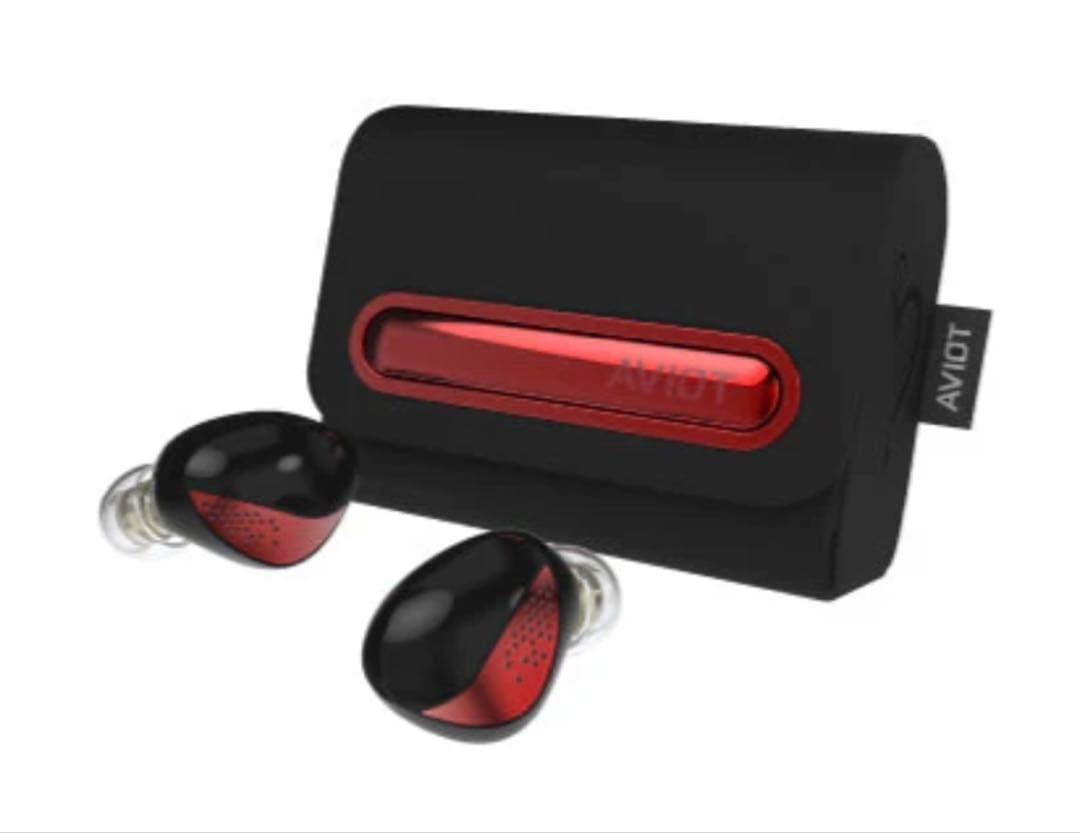 AVIOT イヤホン TE-J2-666 HYDEコラボモデル