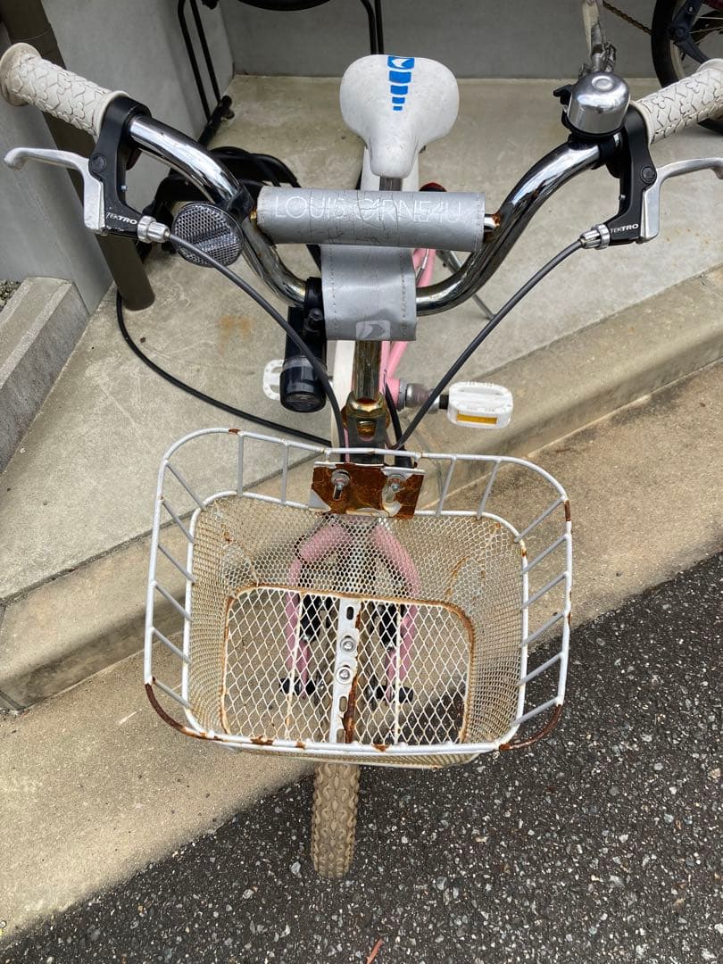 ルイガノ16インチ