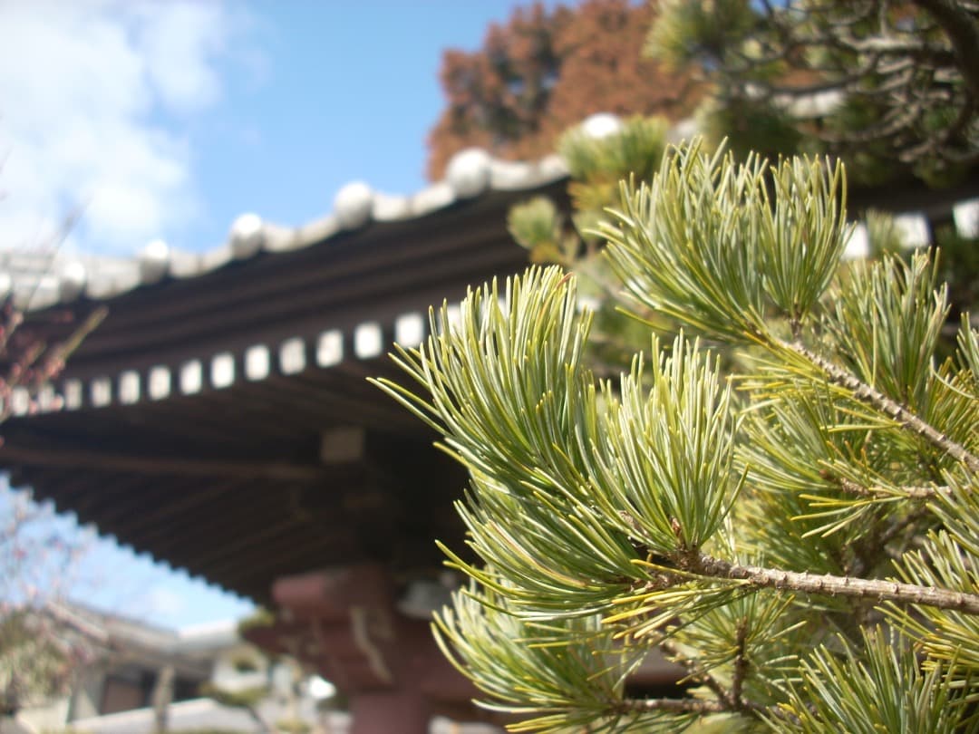 追加有り⭕️単三電池式【動作確認済】Nikon COOLPIX L11