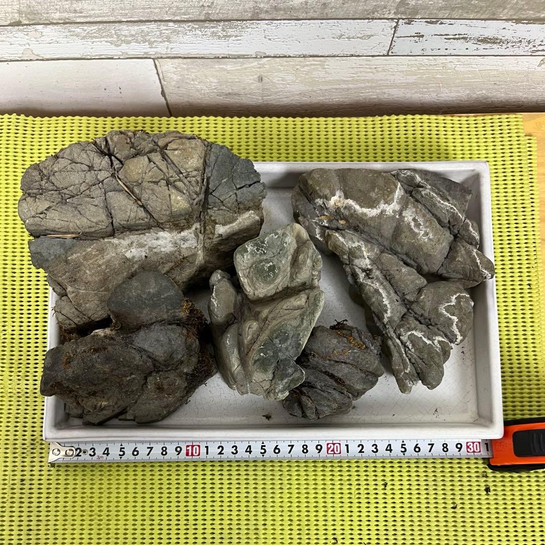 【5個セット】誉平(ポンピラ）石　自然石　水石　盆栽　鑑賞　台つき