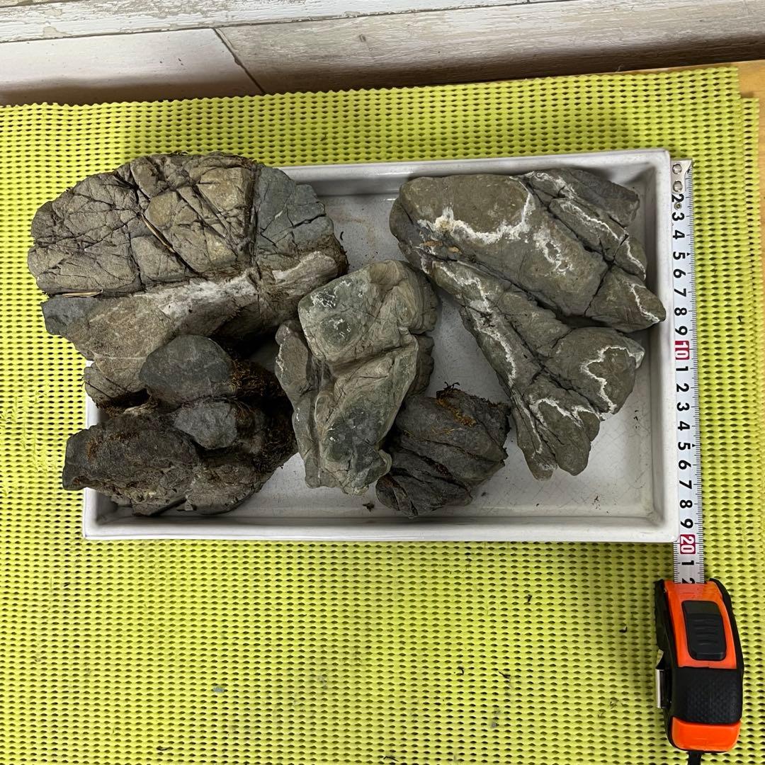 【5個セット】誉平(ポンピラ）石　自然石　水石　盆栽　鑑賞　台つき