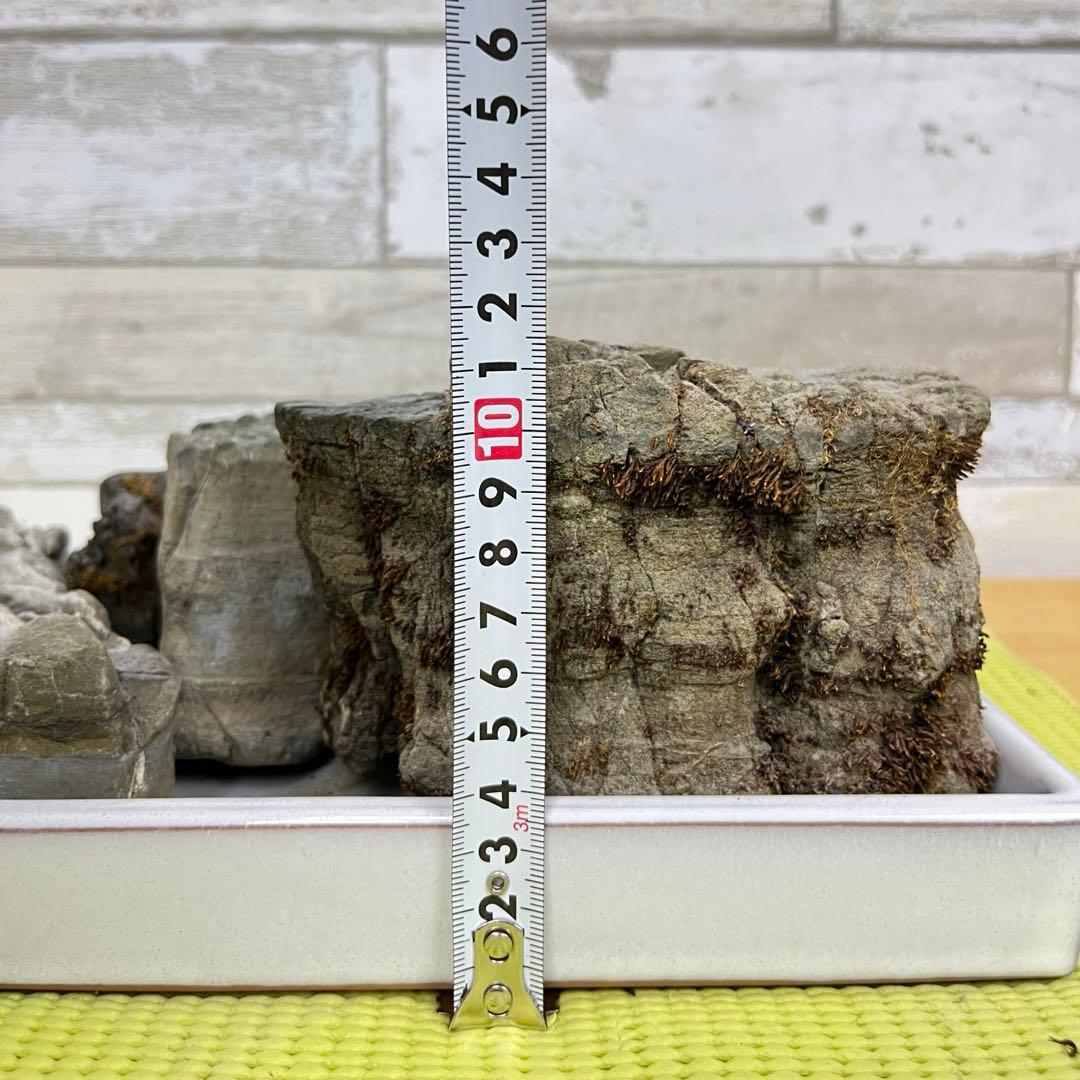 【5個セット】誉平(ポンピラ）石　自然石　水石　盆栽　鑑賞　台つき