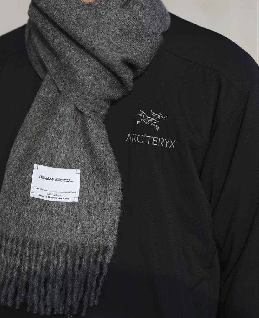 ARC’TERYX Atom LT Jacket L Black黒アークテリクス