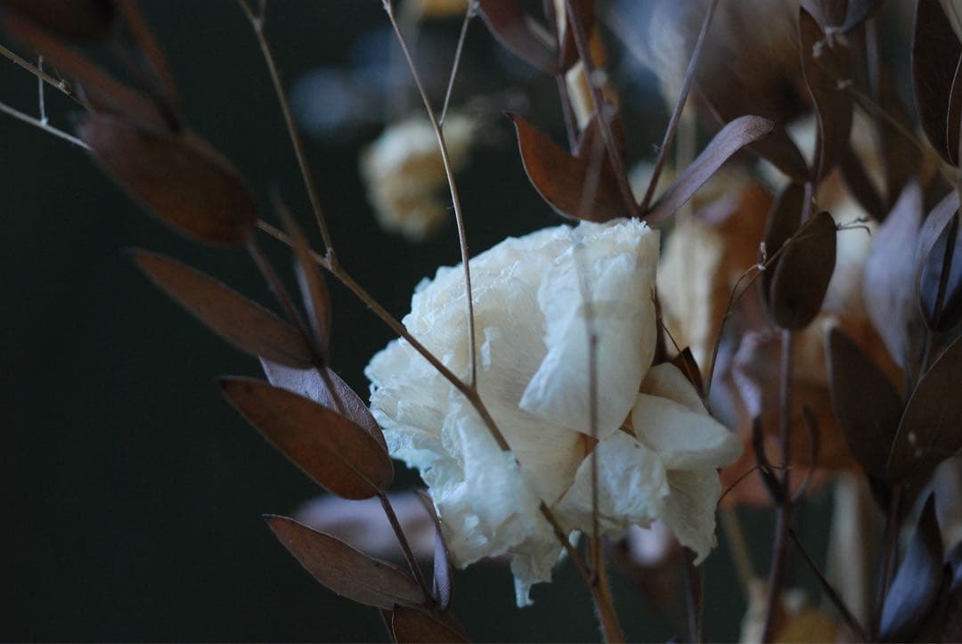 Nikon D80 デジタル一眼AFマクロ　NIKKOR 55㍉　レンズ付　※注