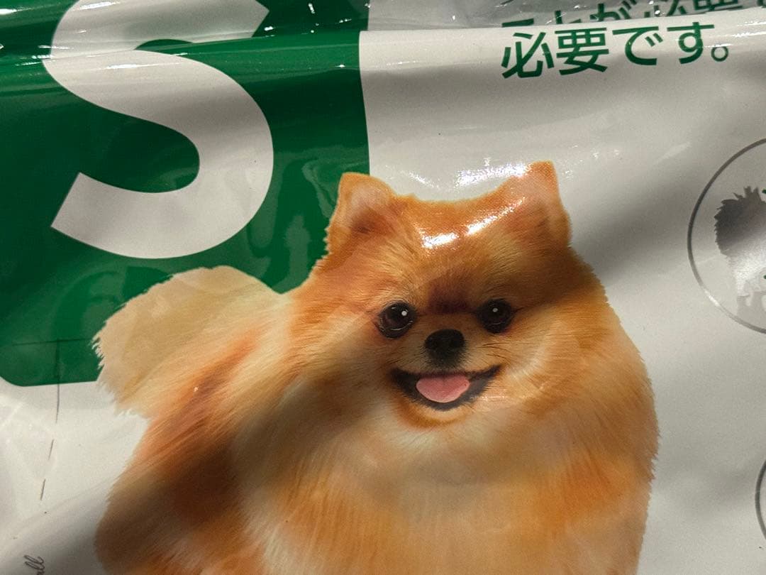 そらまめ